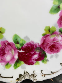 Antique Plate By Z.S. & Co. Bavaria. Hand Painted Roses