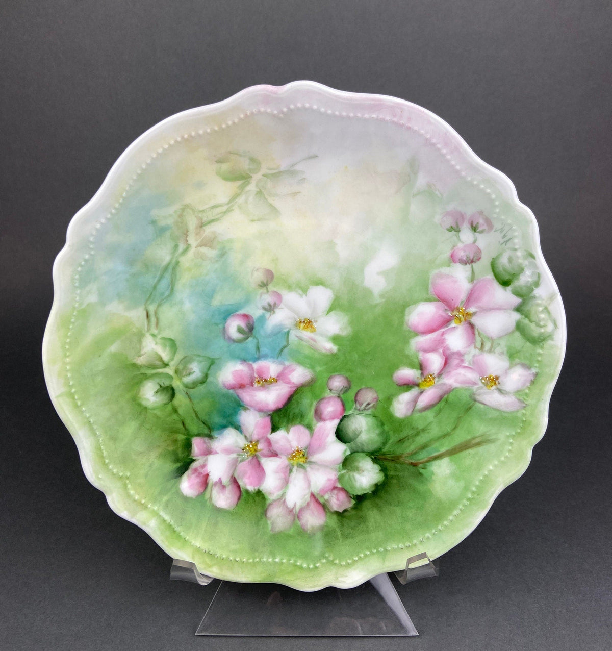 Antique Imperial Vienna Hand Painted Plate – M.Z. Austria (1900–1909)