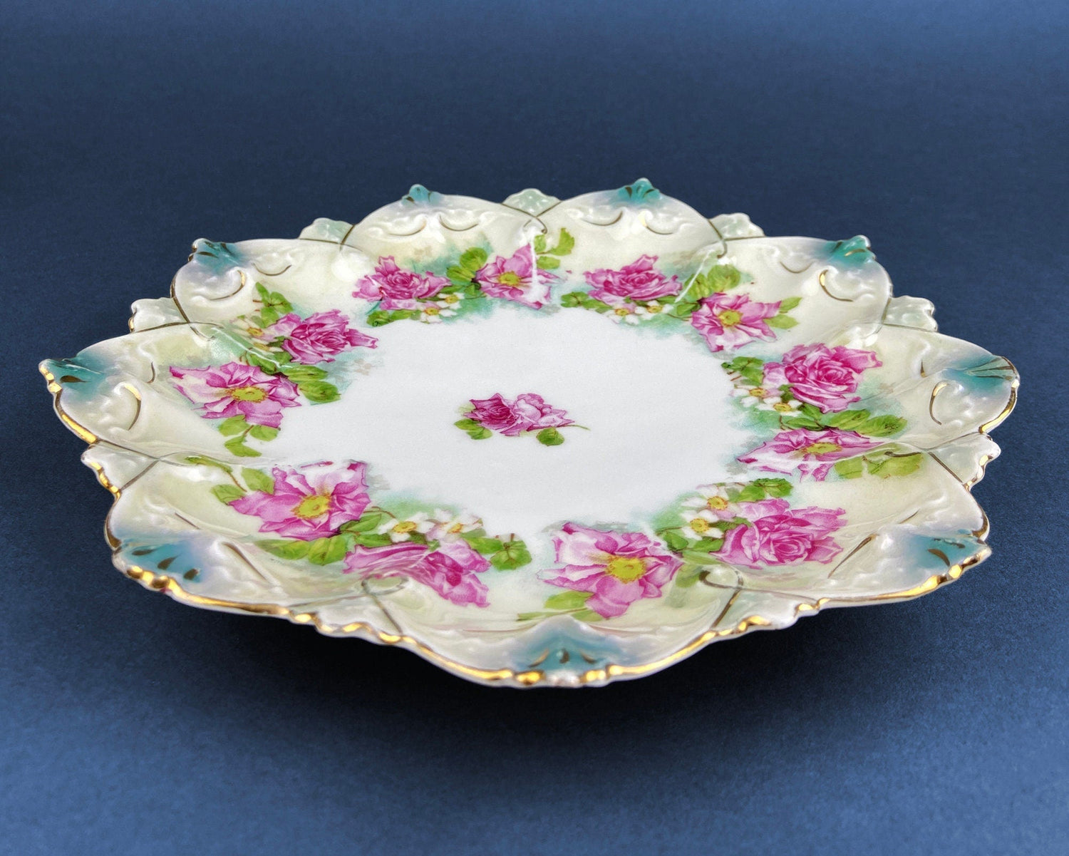 Antique Imperial Vienna Hand Painted Plate – M.Z. Austria (1900–1909)