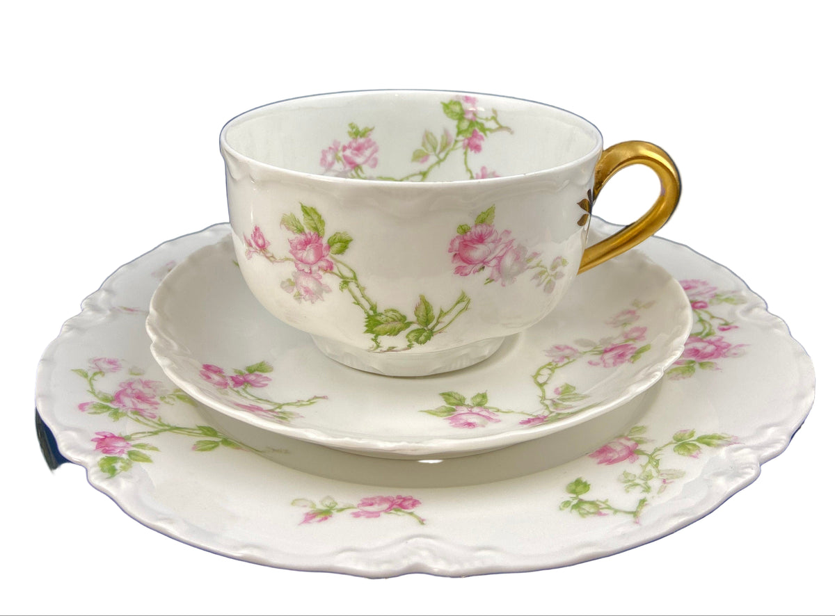 Antique Haviland Limoges Cup & Saucer – Hand Painted Violet Motif France