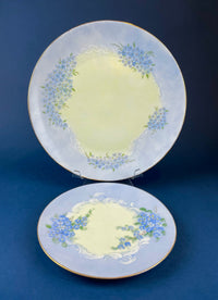 Antique Forget-Me-Not Porcelain Set – Cup, Saucer, and Plates