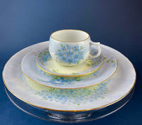 Antique Forget-Me-Not Porcelain Set – Cup, Saucer, and Plates