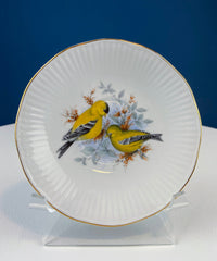Vintage Queen’s Fine Bone China Cup & Saucer – Kingfisher Blue Birds