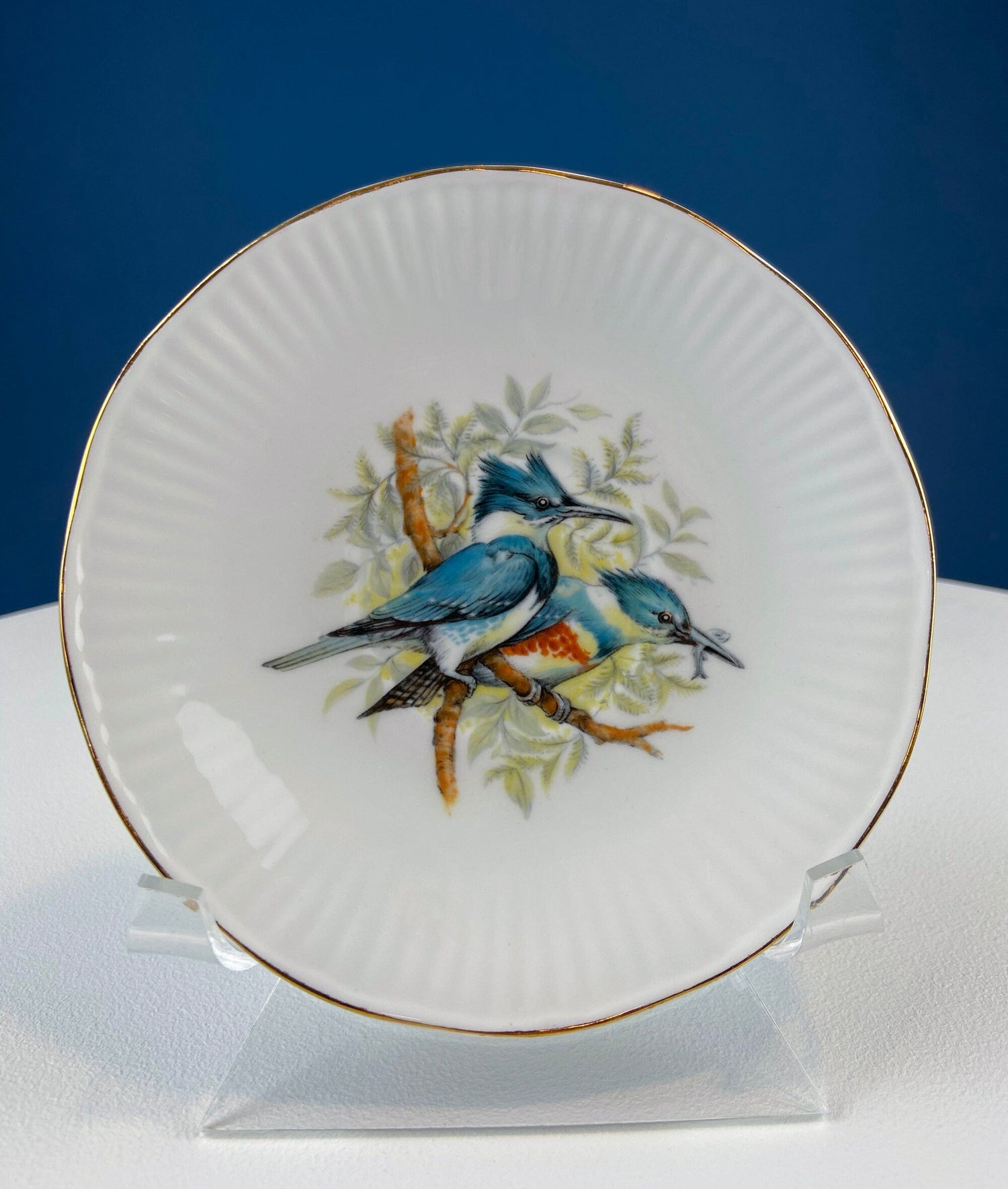 Vintage Queen’s Fine Bone China Cup & Saucer – Kingfisher Blue Birds
