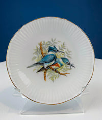 Vintage Queen’s Fine Bone China Cup & Saucer – Kingfisher Blue Birds