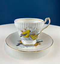 Vintage Queen’s Fine Bone China Cup & Saucer – Kingfisher Blue Birds