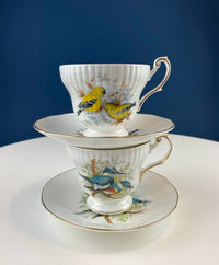 Vintage Queen’s Fine Bone China Cup & Saucer – Kingfisher Blue Birds