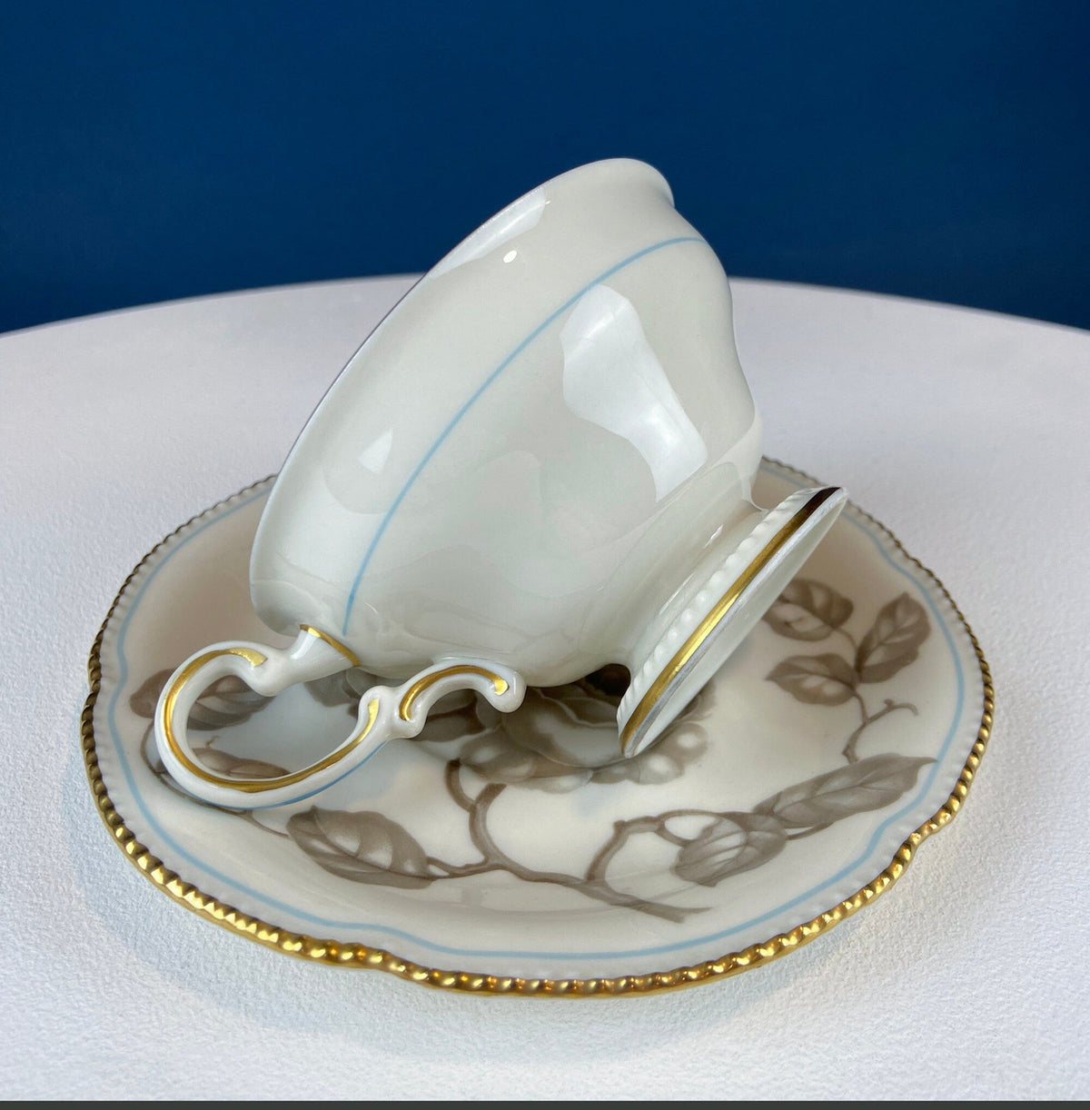 Castleton Gloria Porcelain Dinner Set – 24 Piece Hand Painted Rose Design