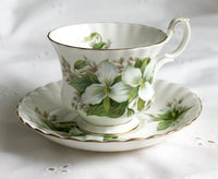 Royal Albert England Cup & Saucer – Hand Painted Trillium Design
