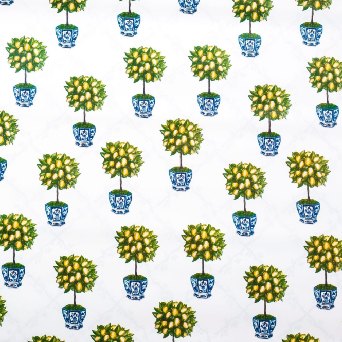 Reversible lemon Topiary with Trellis giftwrap