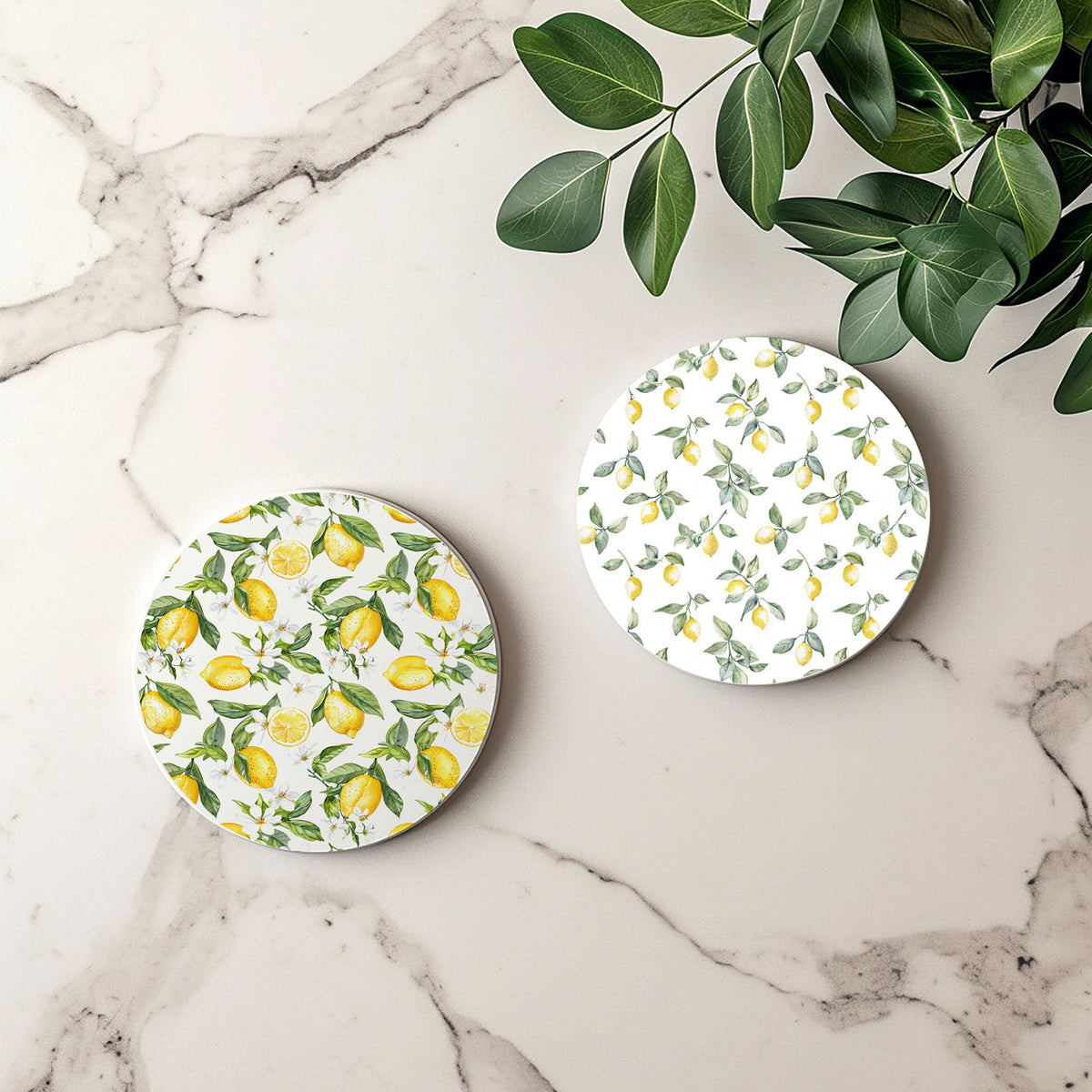 Mediterranean Lemon Coasters