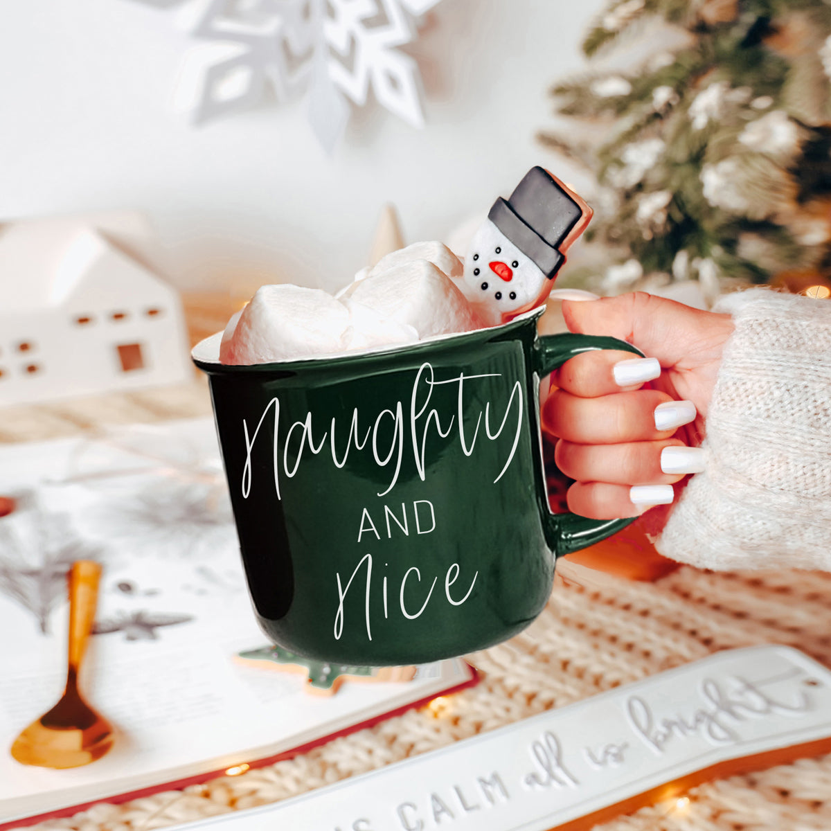 Naughty & Nice Mug