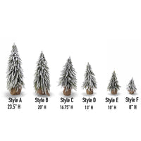 Snow Covered Trees (Various Sizes)