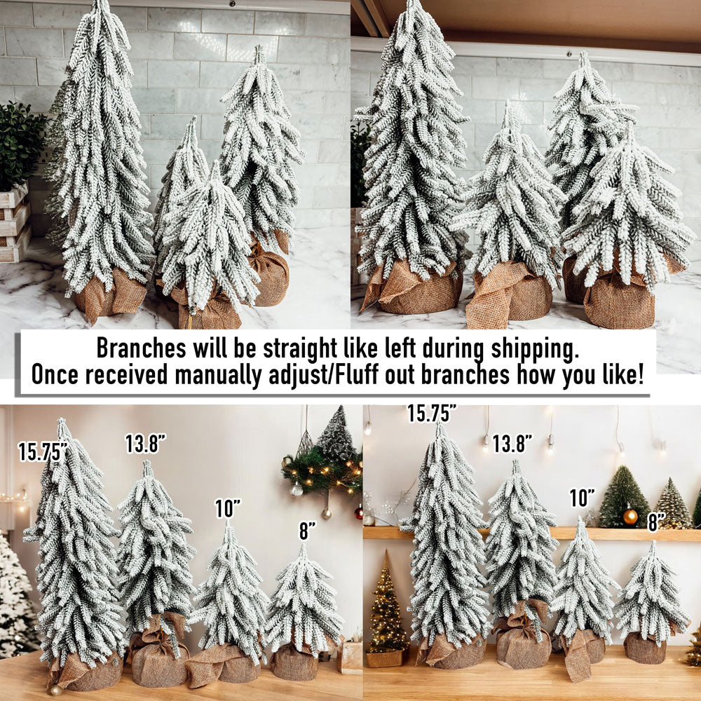 Snow Christmas Trees