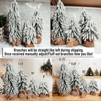 Snow Christmas Trees