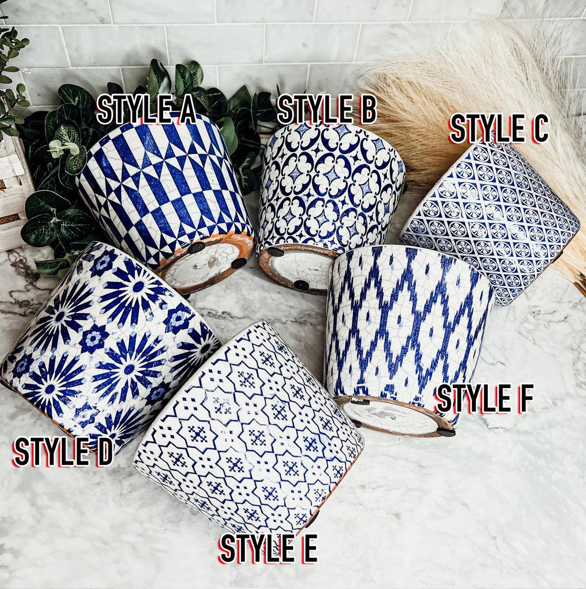 Terracotta Pot 5.5" (Various Prints)